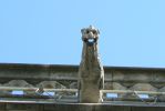 PICTURES/Paris - The Towers of Notre Dame/t_Gargoyle Spout1.JPG